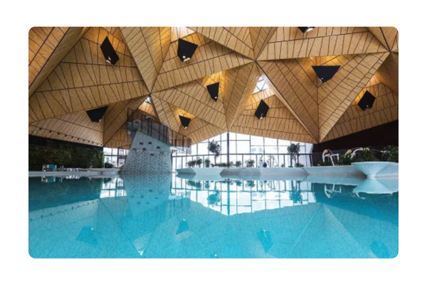 Wellness bazen z arhitekturno leseno stropno konstrukcijo